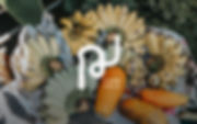 square.jpg